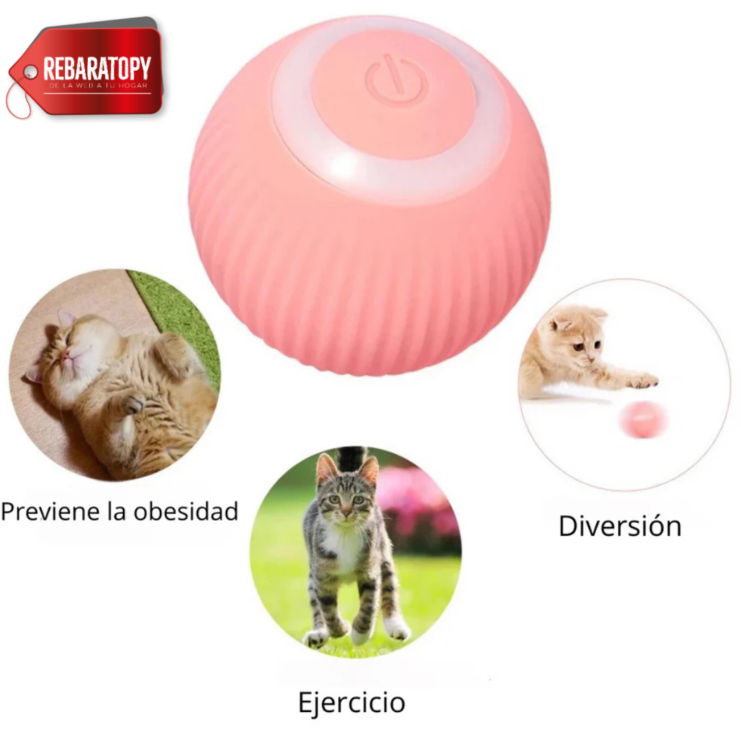 Pelota Interactiva Para Mascotas