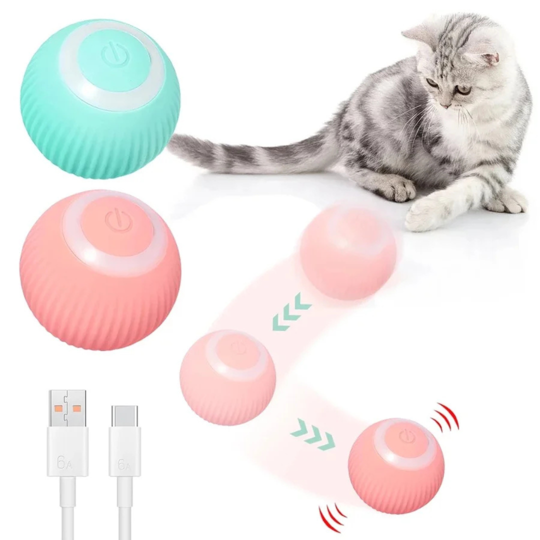 Pelota Interactiva Para Mascotas